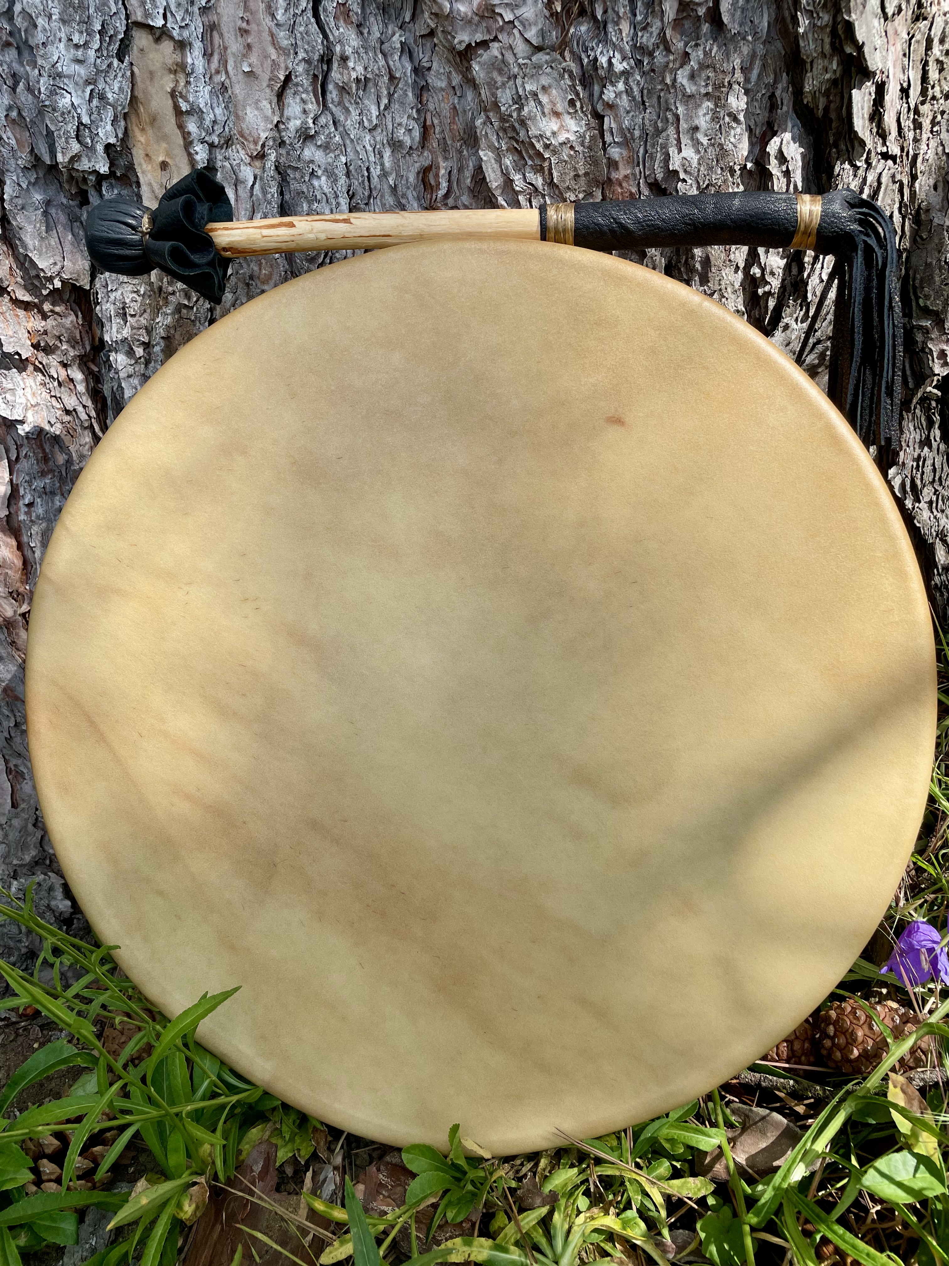 Thunderbird Drum Bag and Drum
