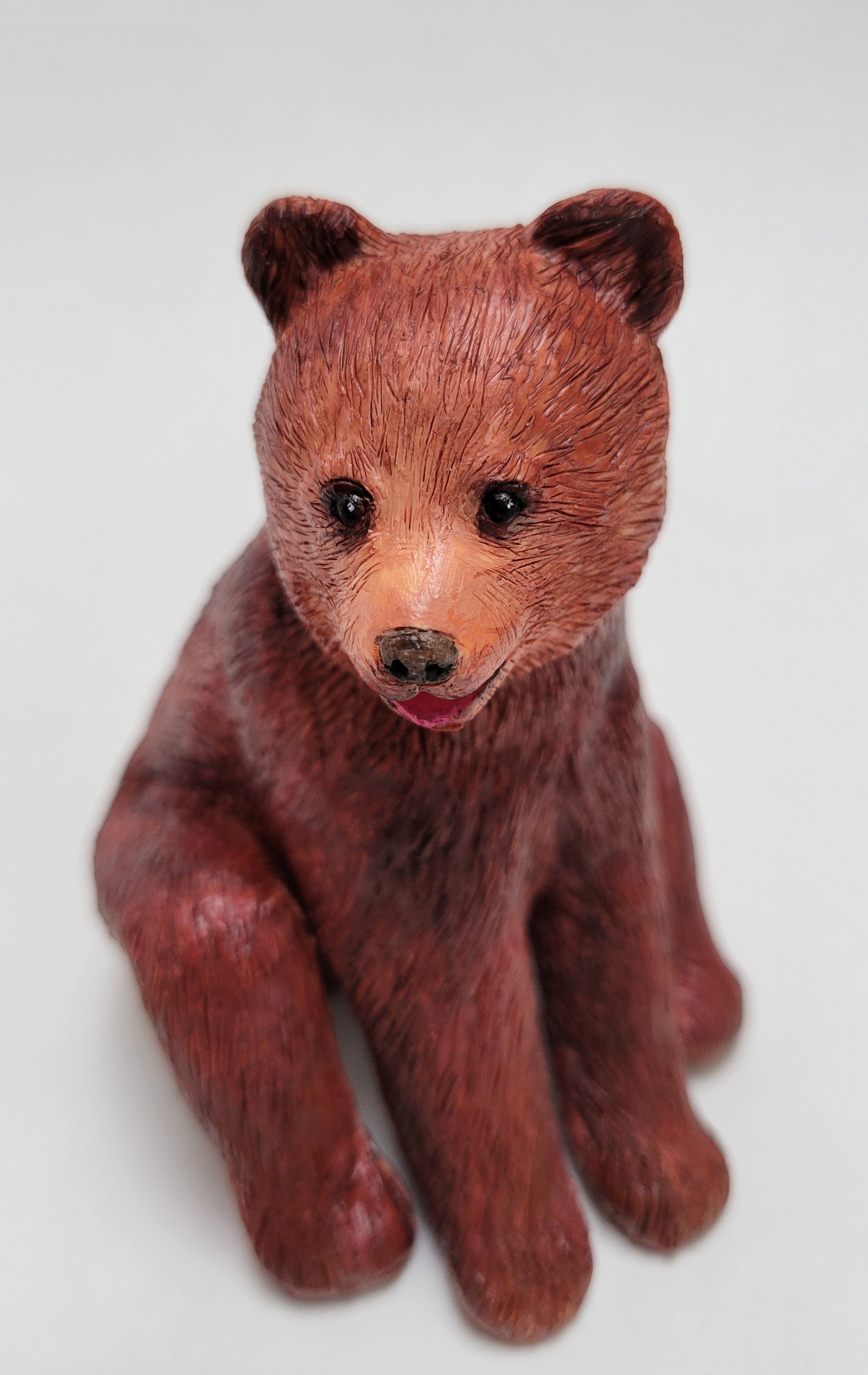 Teenager brown bear - teenager