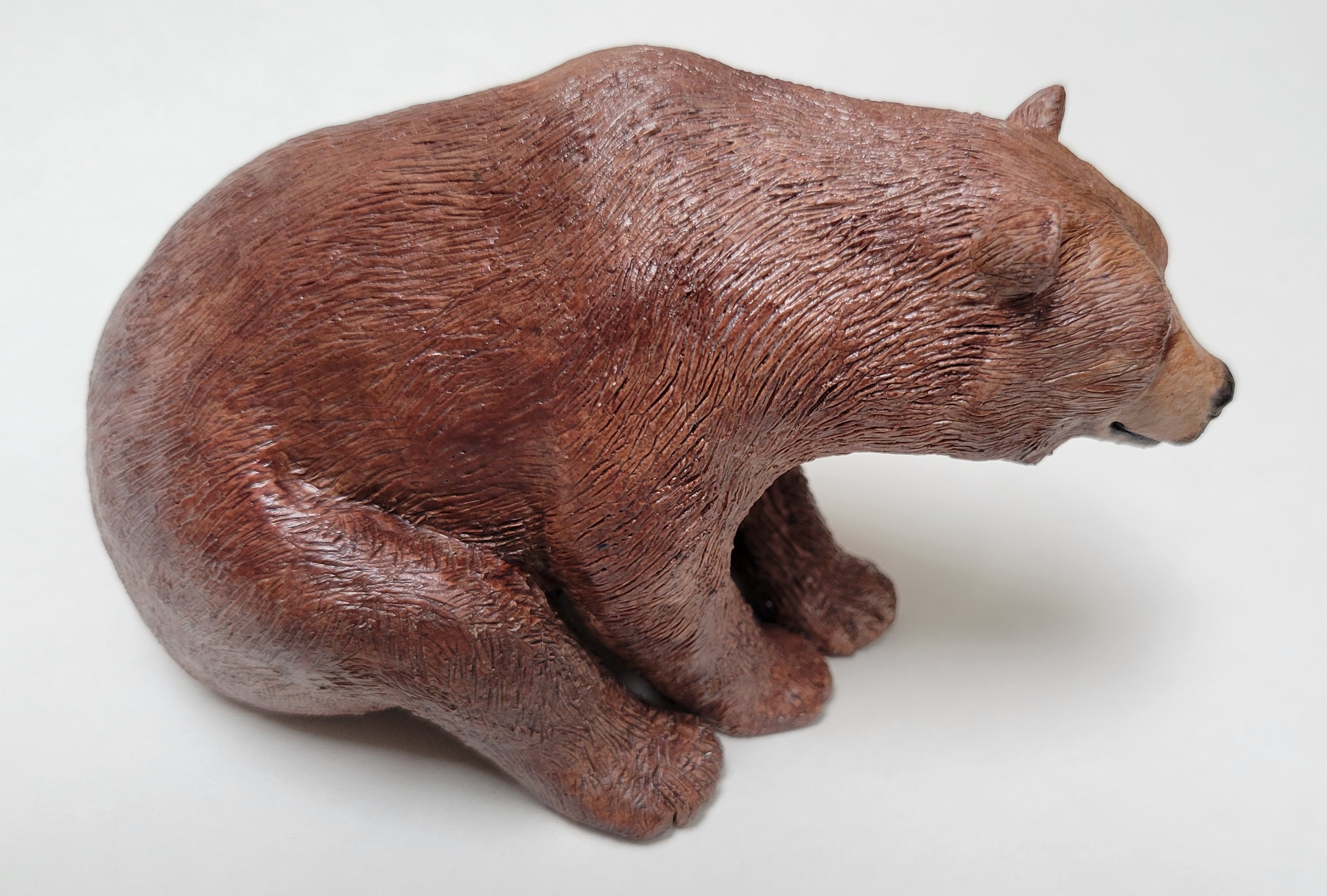 Grizzly Bear  front paws grounded