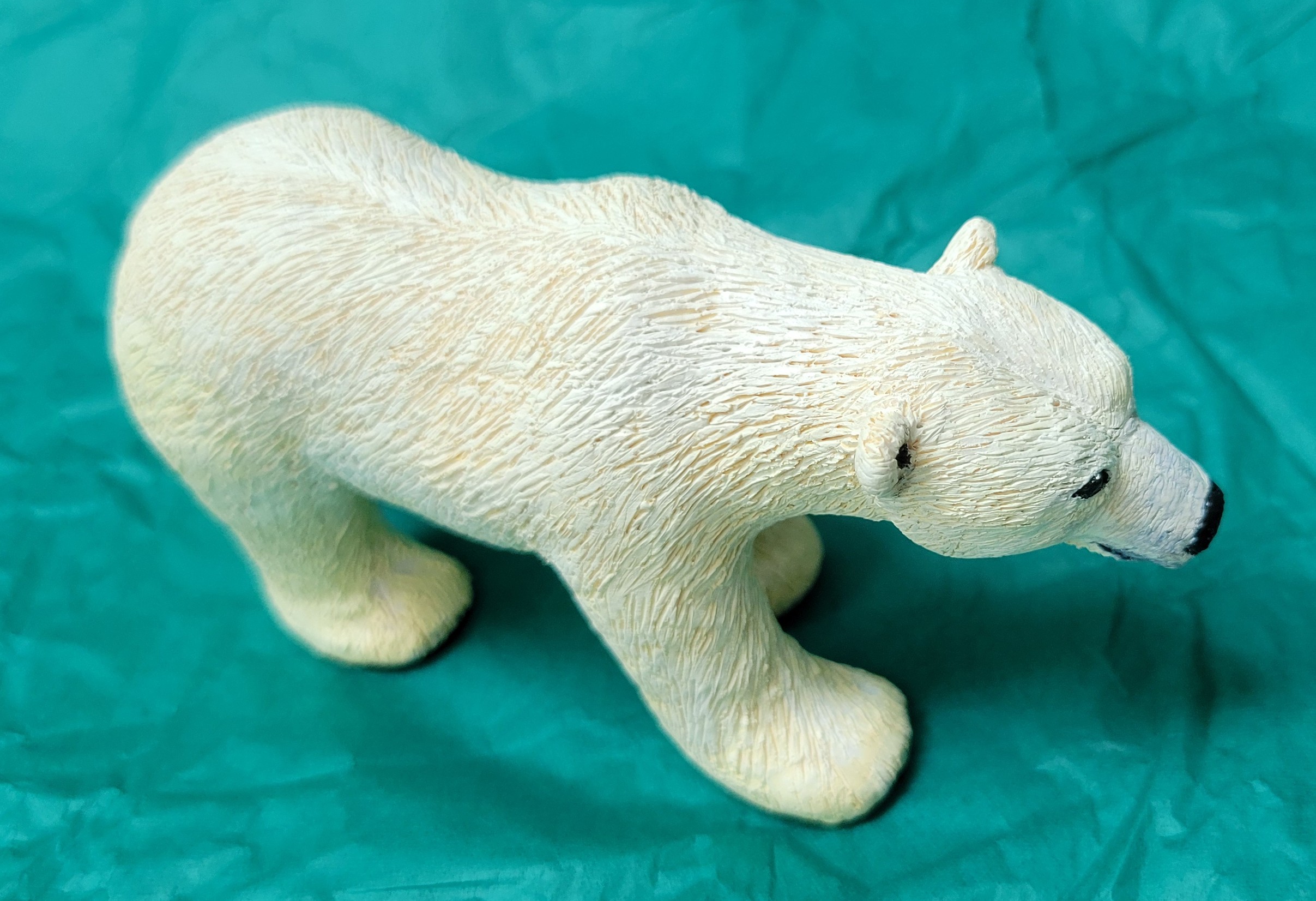 Polar bear