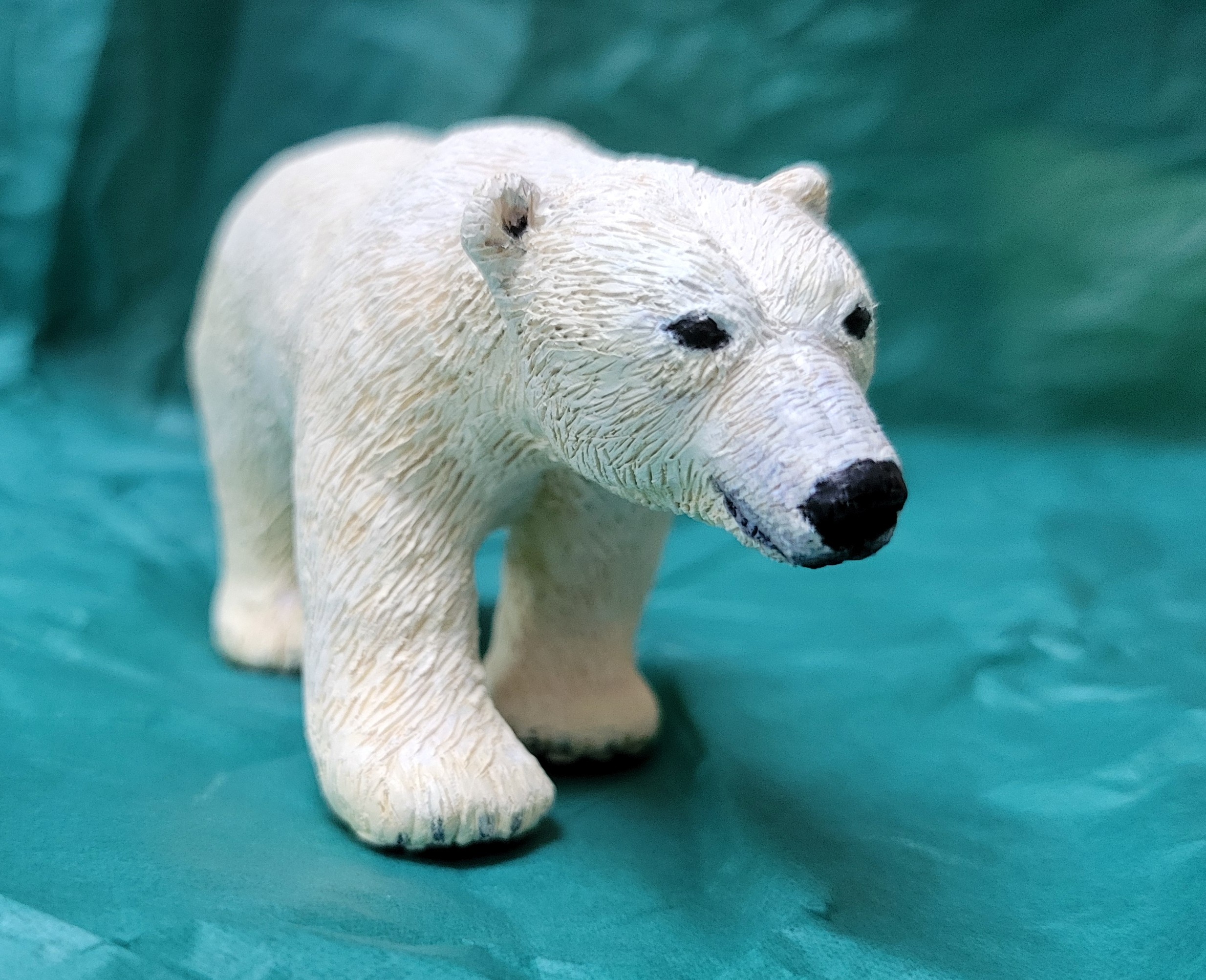 Polar bear