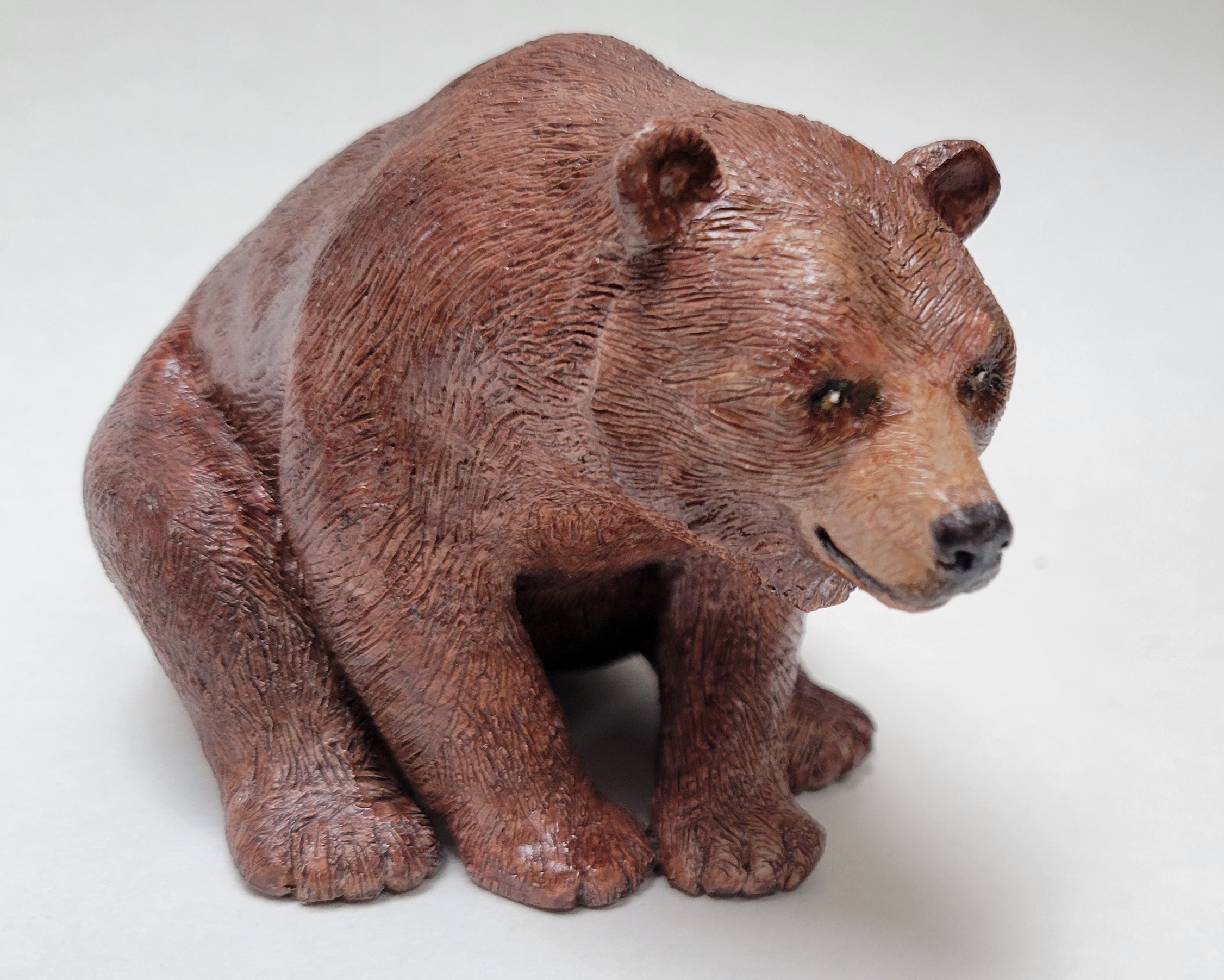 Grizzly Bear  front paws grounded