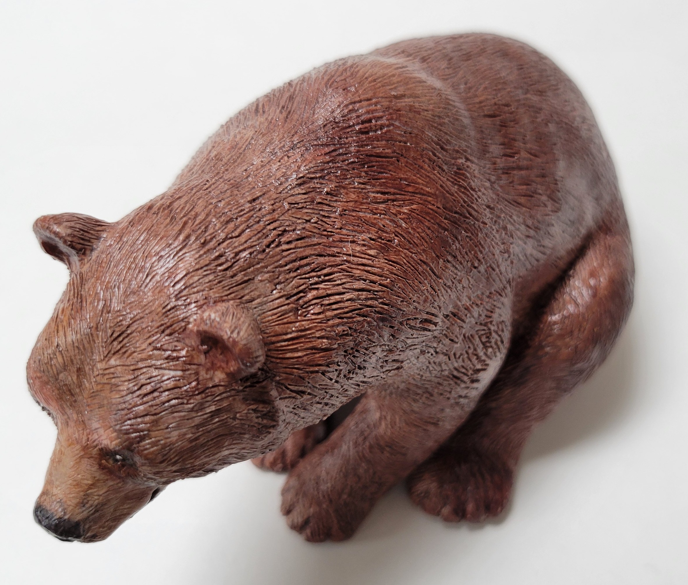 Grizzly Bear  front paws grounded