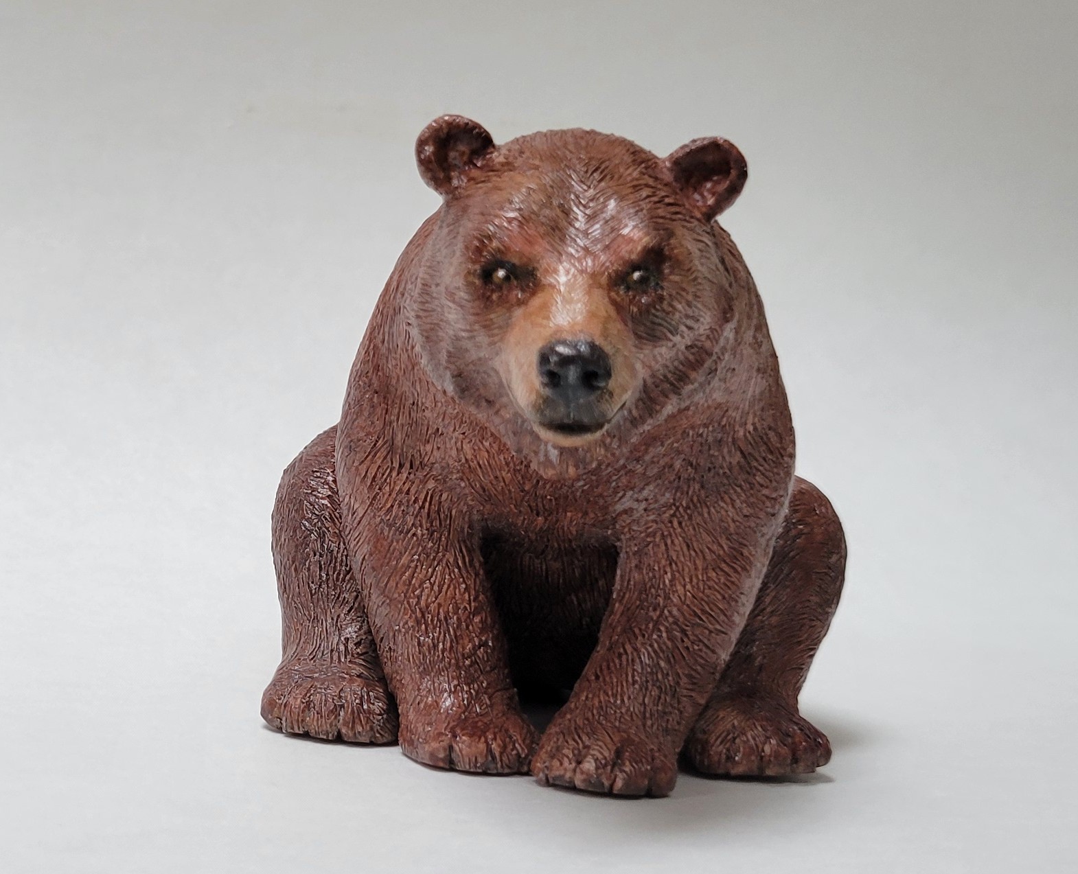 Grizzly Bear  front paws grounded