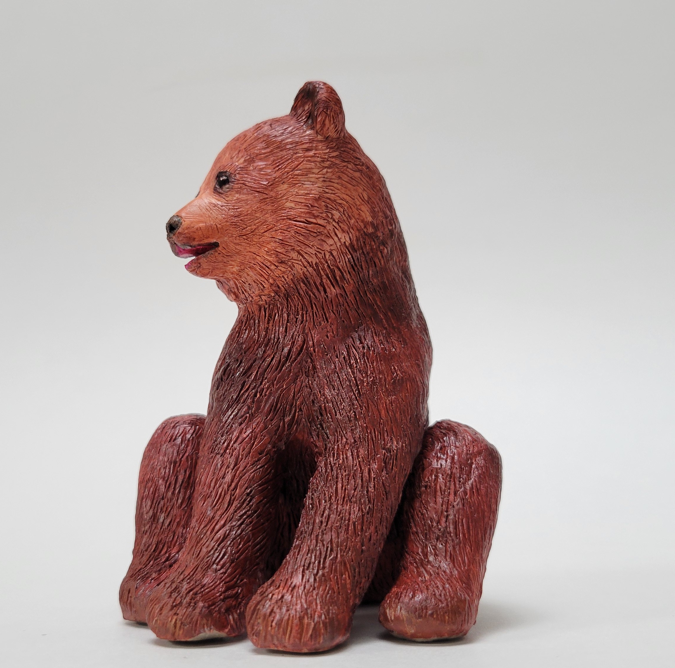 Teenager brown bear - teenager