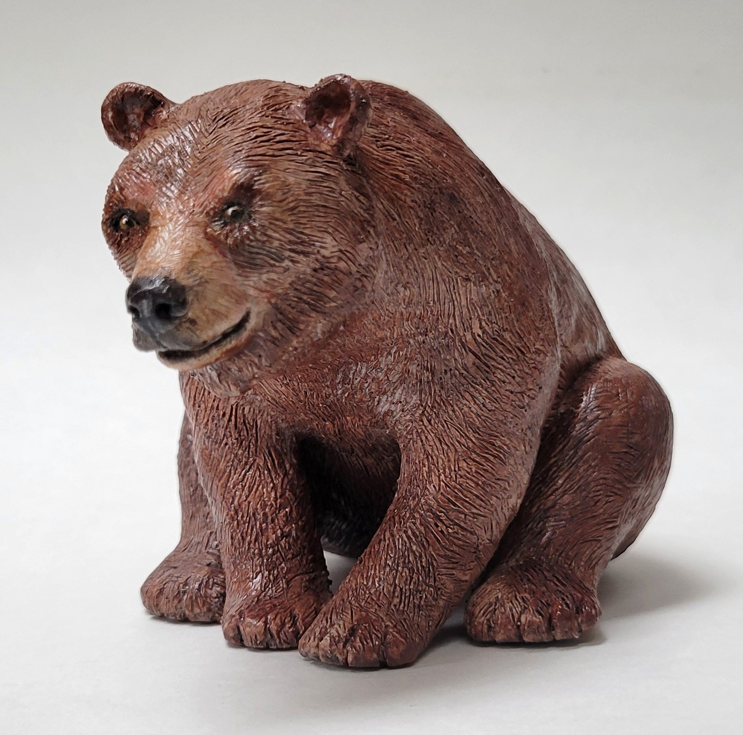 Grizzly Bear  front paws grounded