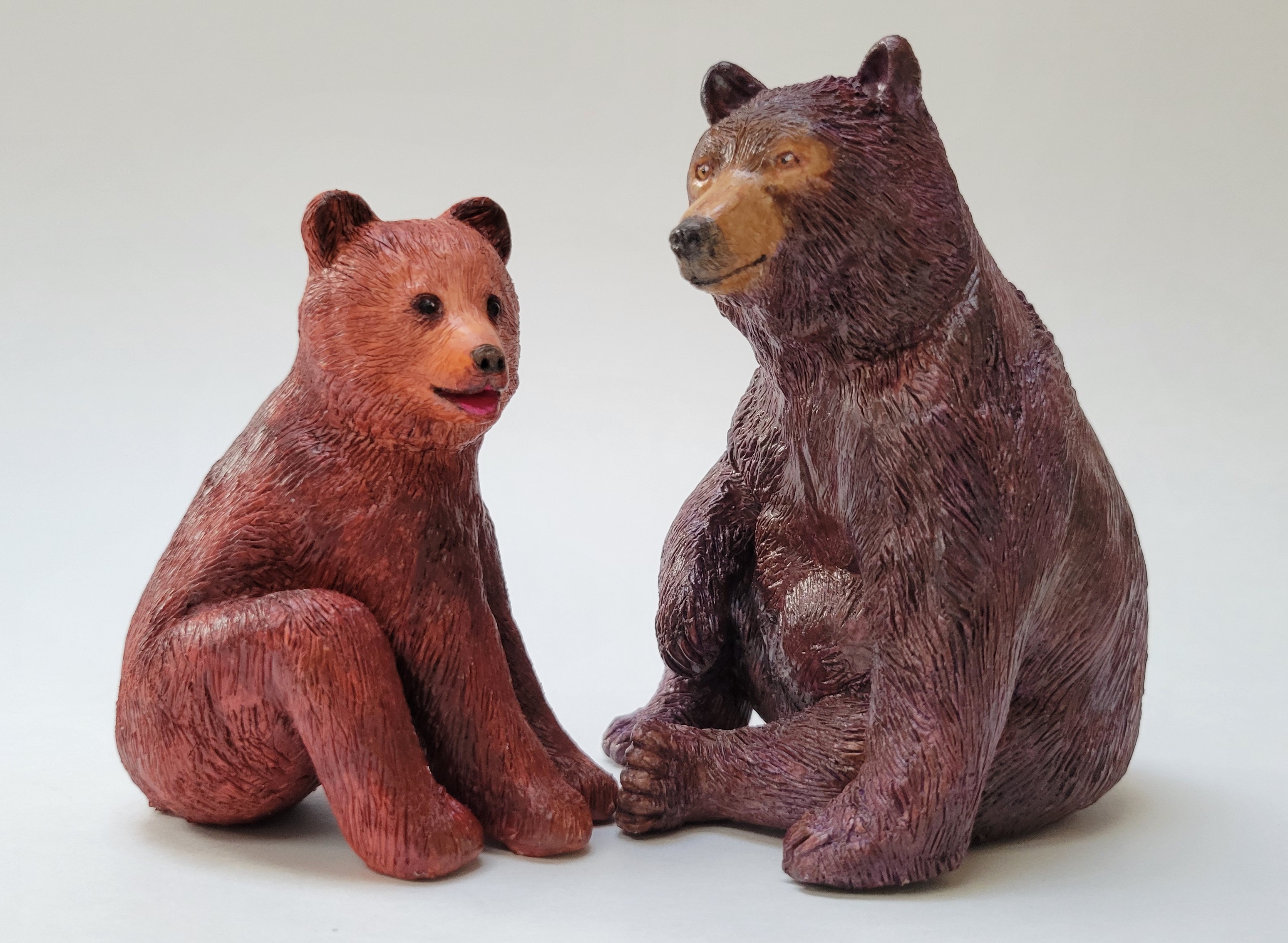 Teenager brown bear - teenager
