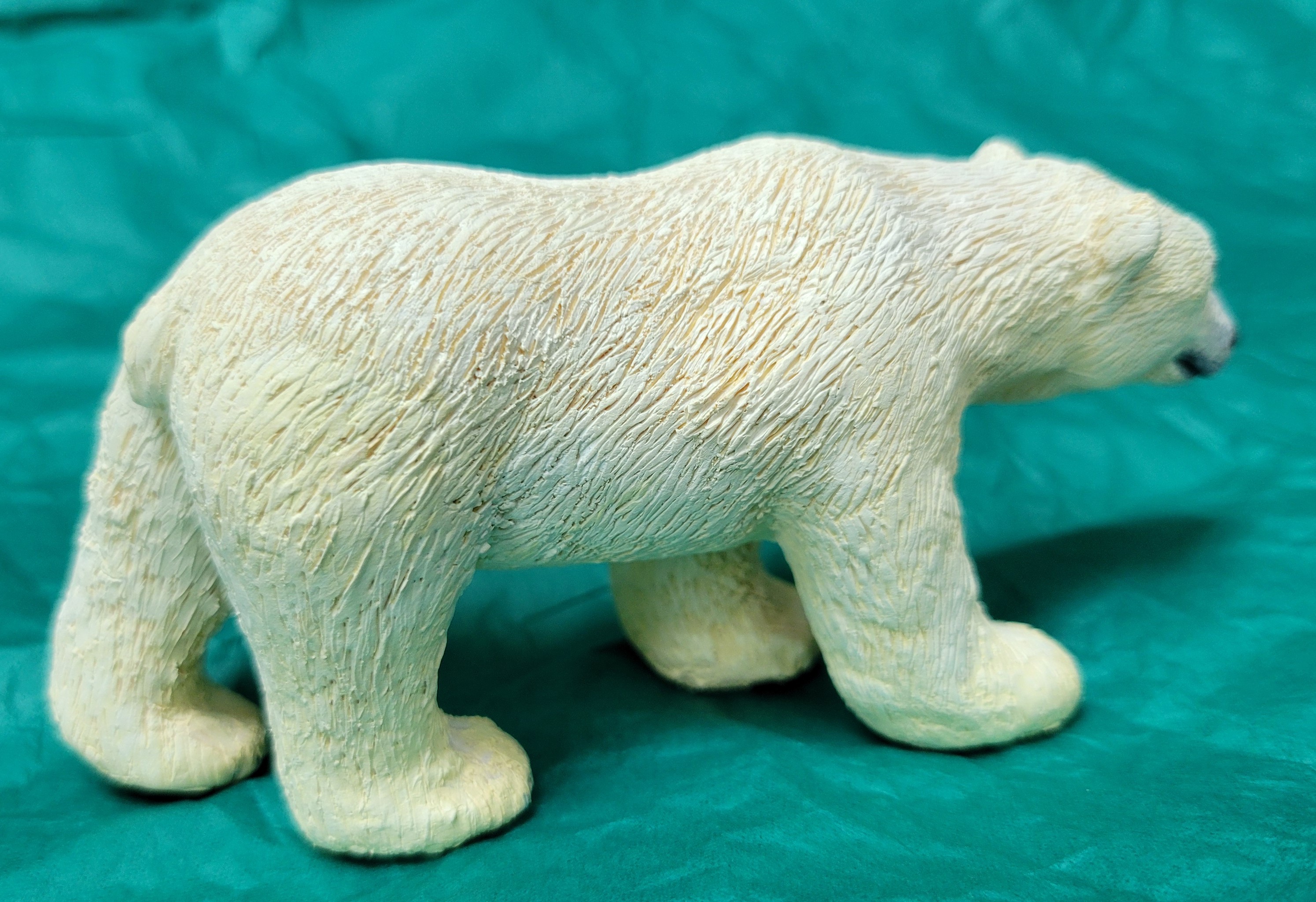 Polar bear